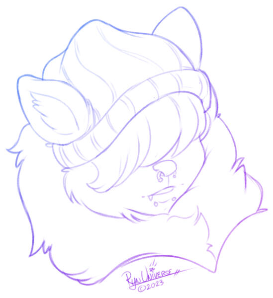 Nitro Doodle